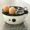 pemasak telur